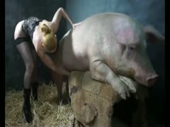Pig Fuck Girl 